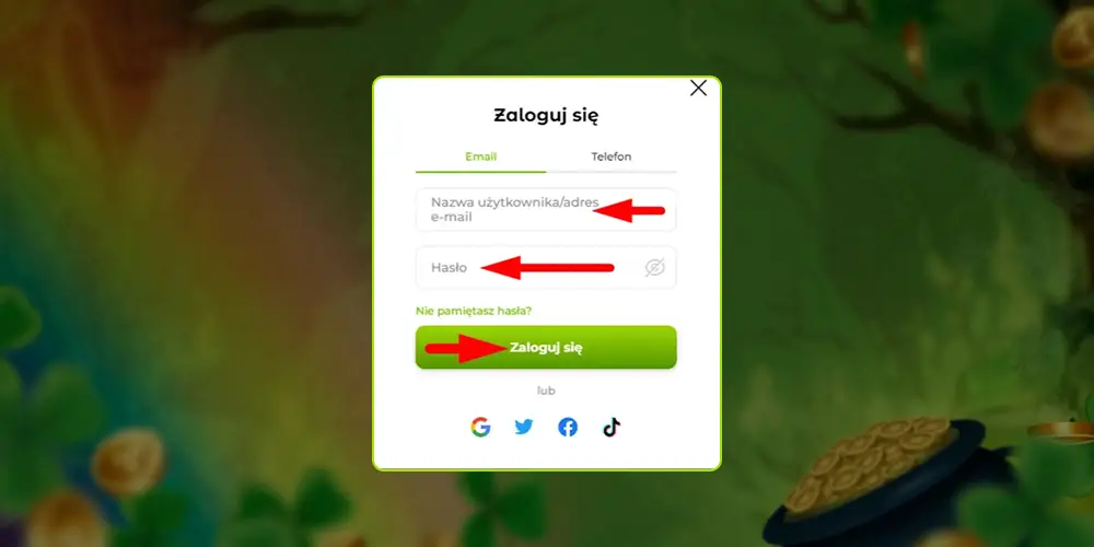 Wprowadź swoje ważne dane osobowe.